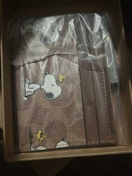 Branded Handbags - Coach x Peanuts Mini Skinny ID Case Signature Canvas with Snoopy Print CBT14 – N
